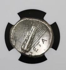 Lucania Metapontum Demeter AR Stater Silver Coin 330 BC ~ NGC Choice XF, 4/5~4/5