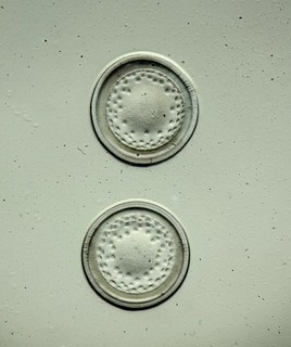 Antique microscope slide. Norman Seward. Diatoms. Podosira variegata. Very rare