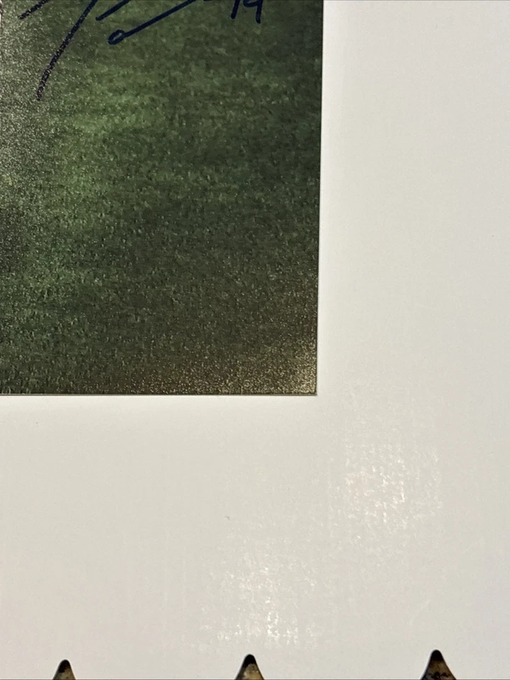 Foto firmada autografiada por Julie Ertz 8x10 certificado de autenticidad fútbol olímpico USWNT JOHNSTON Foto 2 de 4