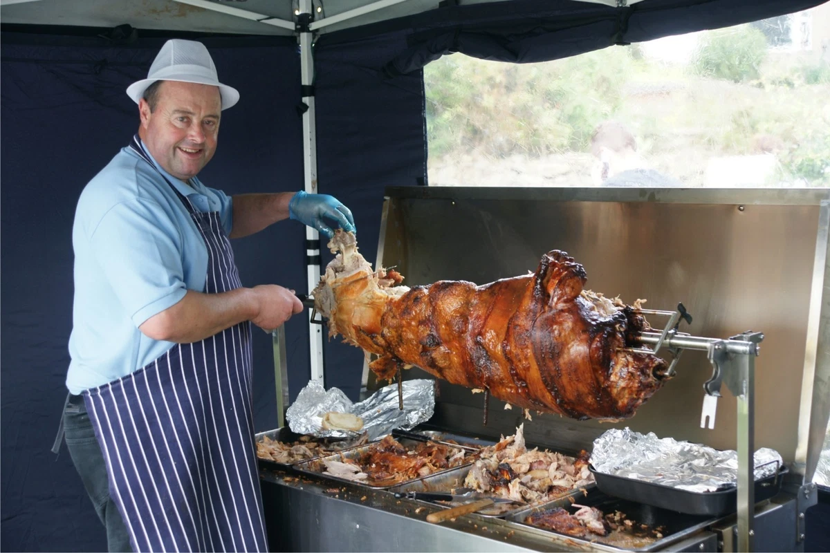 Rotisserie motor cheap for pig