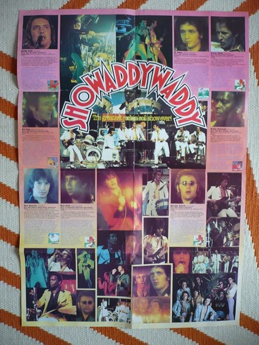 Showaddywaddy 1976 Fan Club Poster / 1979 Backstage Pass / Promo Pen / Postcard - Picture 11 of 12