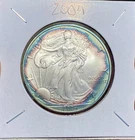 2004-P American Silver Eagle Coin 1 oz $1 - BU**AMAZINGLY TONED GEM**