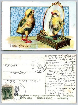 Vintage 1908 Easter Greetings Postcard Chick Looking in Mirror Mullan Idaho