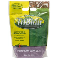 TifBlair Centipede Grass Seed 5Lb Plants 10k- 20k Sq Ft For Sun or Partial Shade