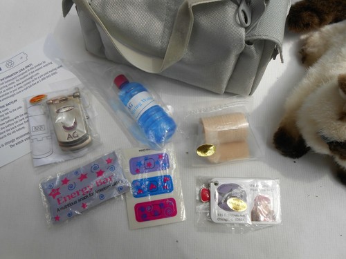 8 Pc American Girl Today Marisol Dance Bag Set & Cat Cell Phone water Bottle New - Picture 2 of 9