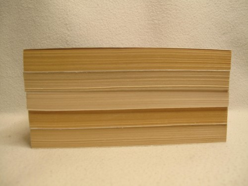 Konvolut 5 Bücher~christlich~historisch~Familie~Lied von Akadien~Janette Oke~D.Bunn 1-5 - Bild 3 von 13