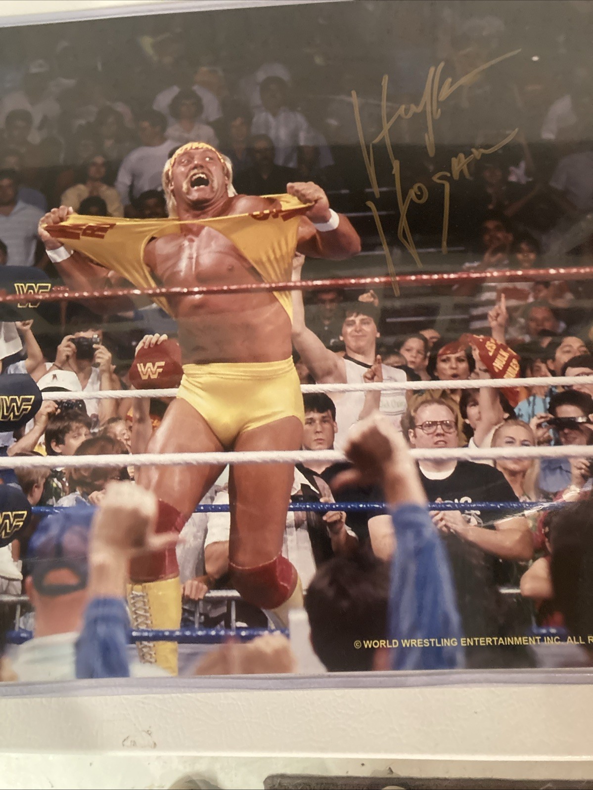 Hulk Hogan Autographed Signed 16x20 photo / TRISTAR Authentication 
