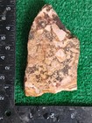 Rough Slab Dead Camel Jasper 178g. 5/16" Thick Lapidary Cabbing #B-7 — photo 4