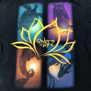 Disney-Animal-Kingdom-Rivers-of-Light-Cast-Member-Shirt-Small-Avatar-Black-Tee