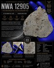 NWA 12905 Howardite Meteorite 27.233g Full Slice | Vesta Achondrite | COA — photo 2
