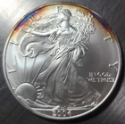 2004 American Eagle 1 Oz .999 Fine Silver Coin - Toning on Both Sides
