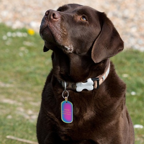 Rainbow Bone/Military/Round Personalized Pet Cat Dog Tags Name ID Engraved Free - Picture 9 of 15