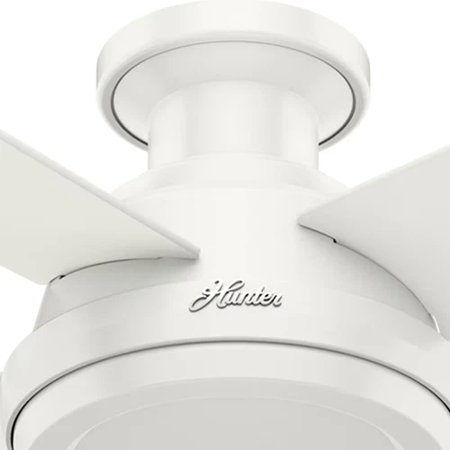 Hunter Dempsey 52" Indoor Flush Mount Ceiling Fan in Fresh White - Picture 5 of 9