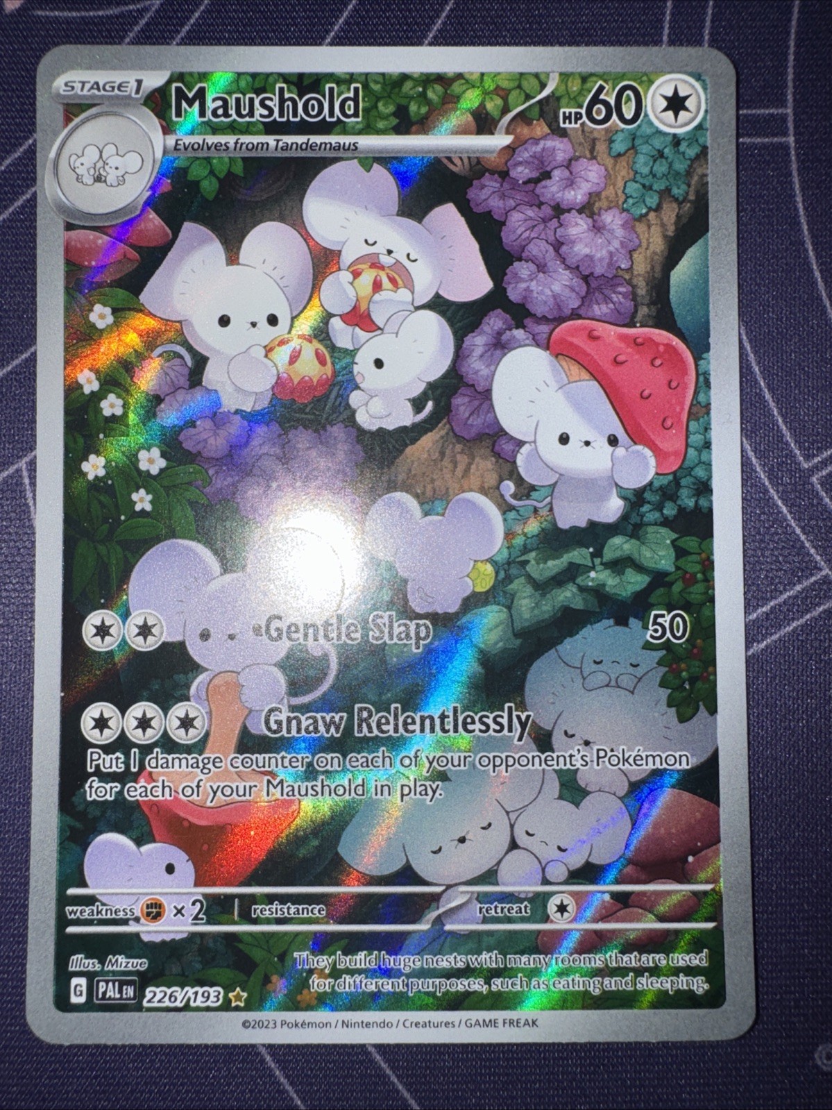Pokémon TCG Maushold 226/193 Paldea Evolved Illustration Rare Card NM Condition