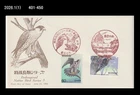 Bird,Wildlife,Birds of Prey,Falcon,Woodpecker,Forest,Japan 1984 FDC,Cover