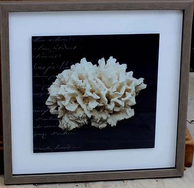 Stunning Beach House Style Coral Framed Print Brand New