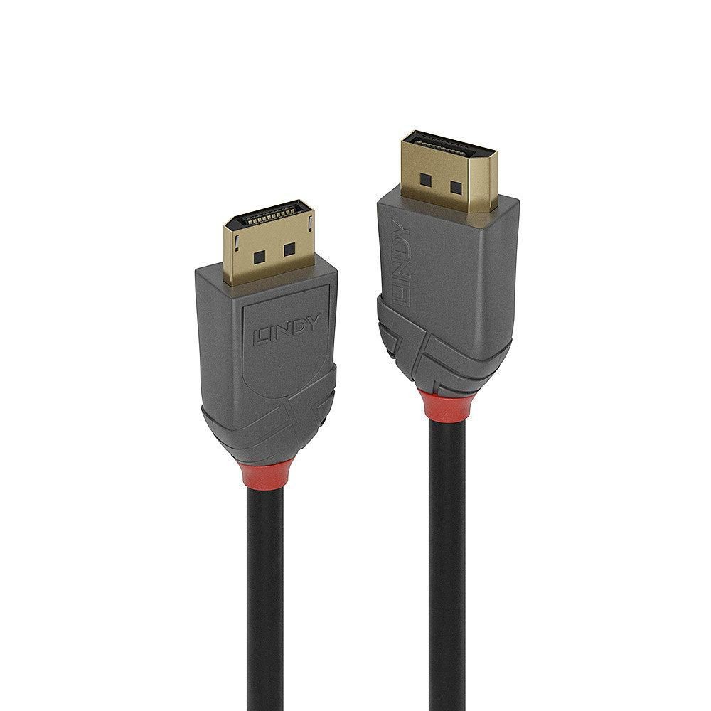 Lindy 36481 1M Displayport 1.4 Cable.