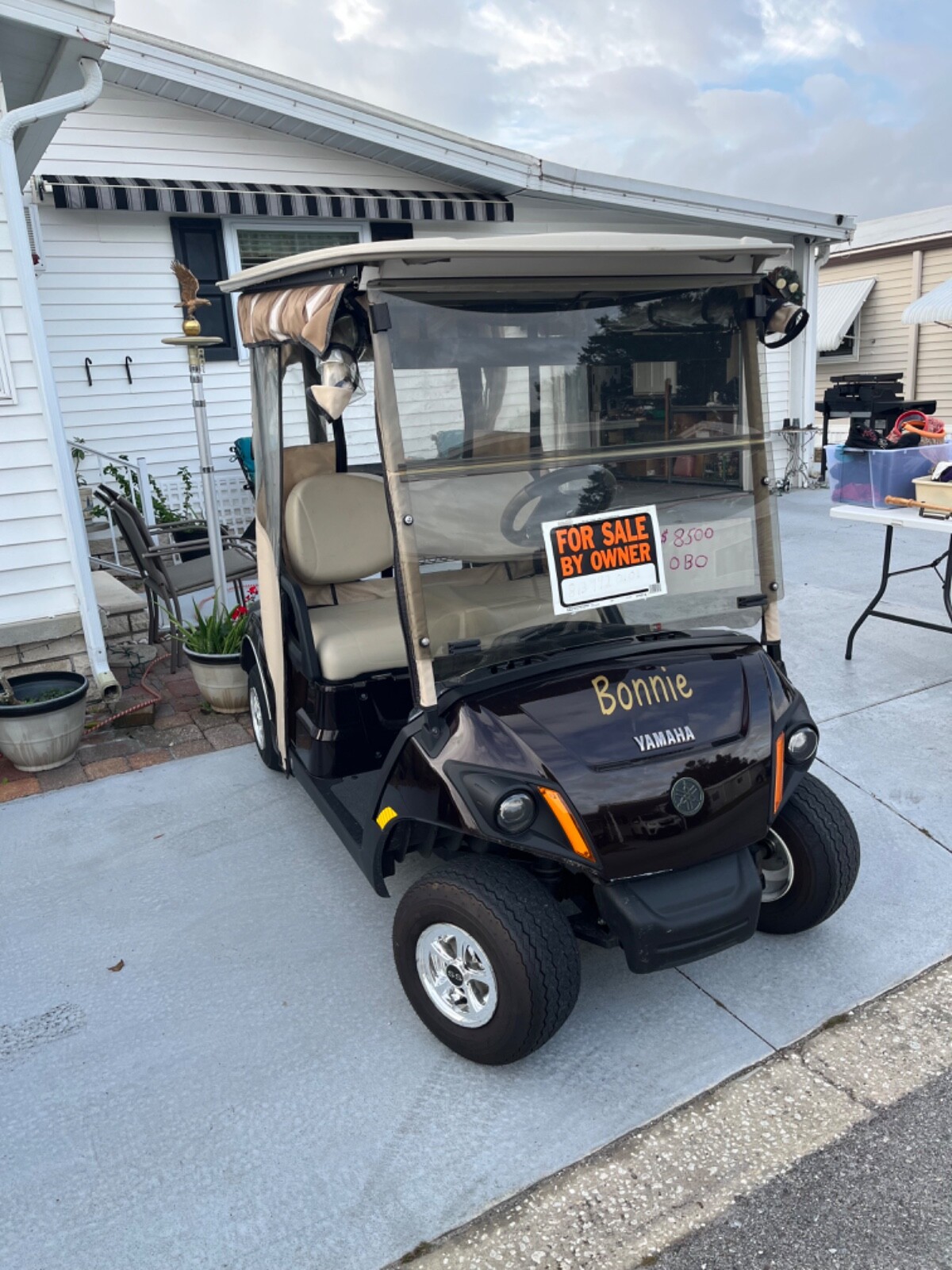 gas golf cart eBay