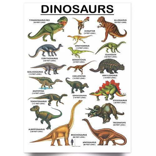 Dinosaurs Wall Chart Poster Educational Wallchart Children Print