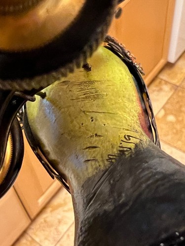 MULLANIUM Vogel auf FERNGLAS Jim und Tori MULLAN selten NEU nie ausgestellt 2019 - Bild 8 von 9