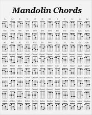 Mandolin Chords Chart 8 x 10
