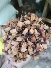Coconut Husk Chips For Orchids Anthurium Growing Dry Organic Coconut Fiber coir