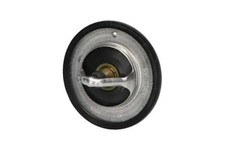 Thermostat Isuzu TROOPER