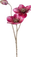 Kunstblume Christrose, 3Er Set, Farbe Magenta, HöHe Ca. 56 Cm