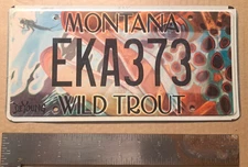 License Plate, Montana, Specialty: Wild Trout, EKA 373