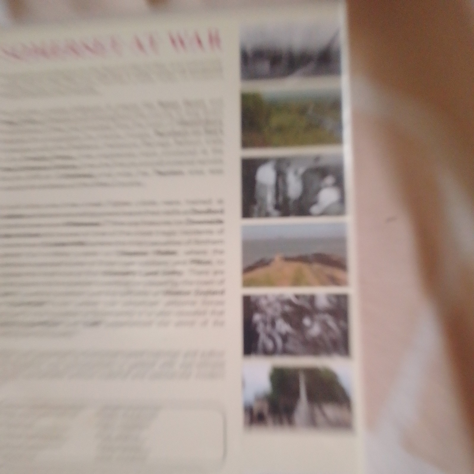 Bild 3 von 3