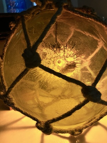 NUOVO Galleggiante in Vetro Giallo con Vero Pesce Tampone Giallo Lampadina LED Tiki Bar Decorazione - Foto 5 di 15