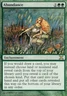 MTG Abundance, Tenth Edition, Heavily Played, English