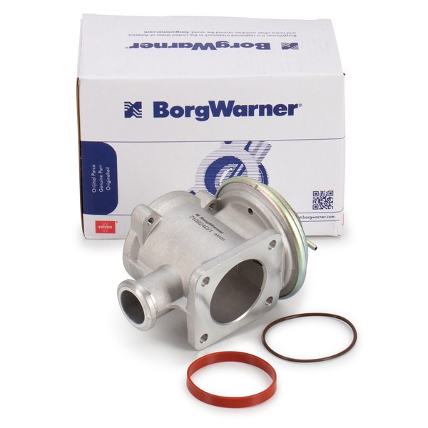 Borgwarner Agr-Ventil FüR BMW 1Er E81 3Er E90-E93 E60 E61 X3 E83 X5 N47 M47 M57-image