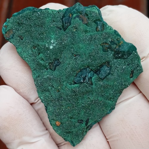 Dioptase and malachite - Kapata Kolwezi DRC Congo - Picture 6 of 12