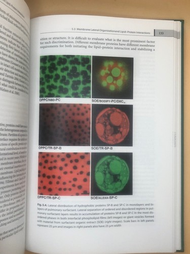 Protein Lipid Interactions SPRINGER BIOPHYSICS Mateo, Gomez, et al. - Picture 12 of 17