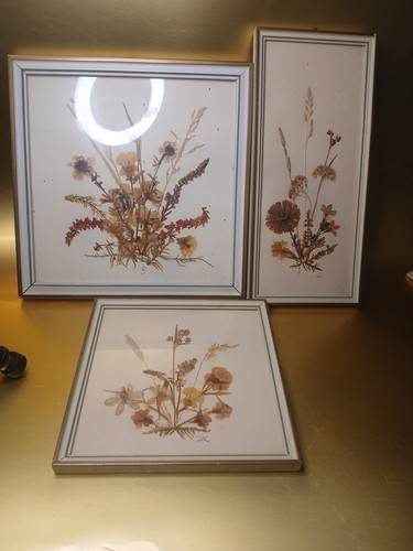 Vintage Pressed  Flowers Art Made In German Set Of 3
