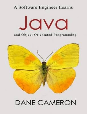 Ein Software-Ingenieur lernt Java und objektorientierte Programmierung [Taschenbuch]