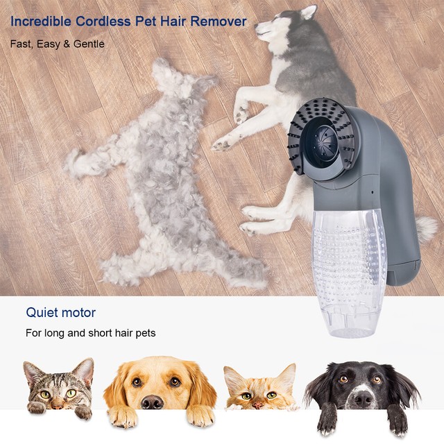 dog hair vacuum brush