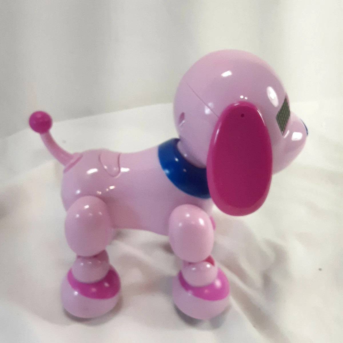 2014 spin hotsell master dog