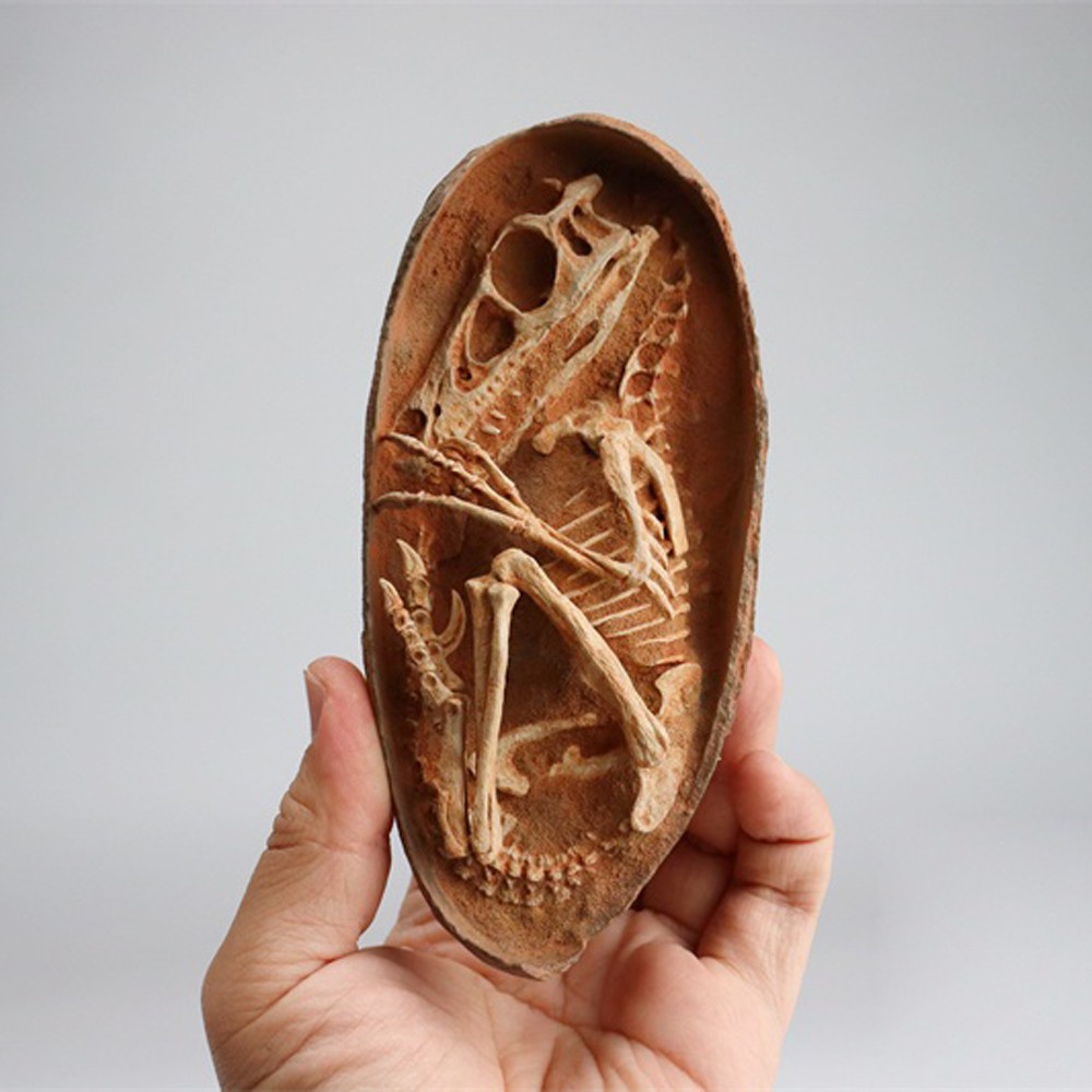 Velociraptor Dinosaur Egg Dinosaur Statue 6in Fossil Model Animal
