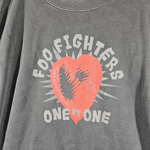 Sudadera Foo Fighters One By One 25 Aniversario Talla XL Gris Slouchy Fade - Imagen 3 de 8