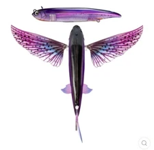 NOMAD DESIGN Slipstream 280 Phantom 11in Flying Fish Lure