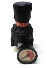 PARKER FILTER REGULATOR 06R1C00021, P=MAX 250 PSI, T=MAX 175 F, W/GAUGE 0-30 PSI