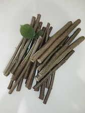 1Kg Haselnusszweige naturbelassen, unbehandelt, Knabberholz, Naturholz