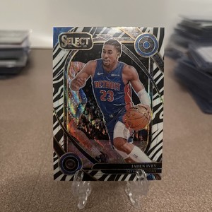 Basketball Zebra | eBay