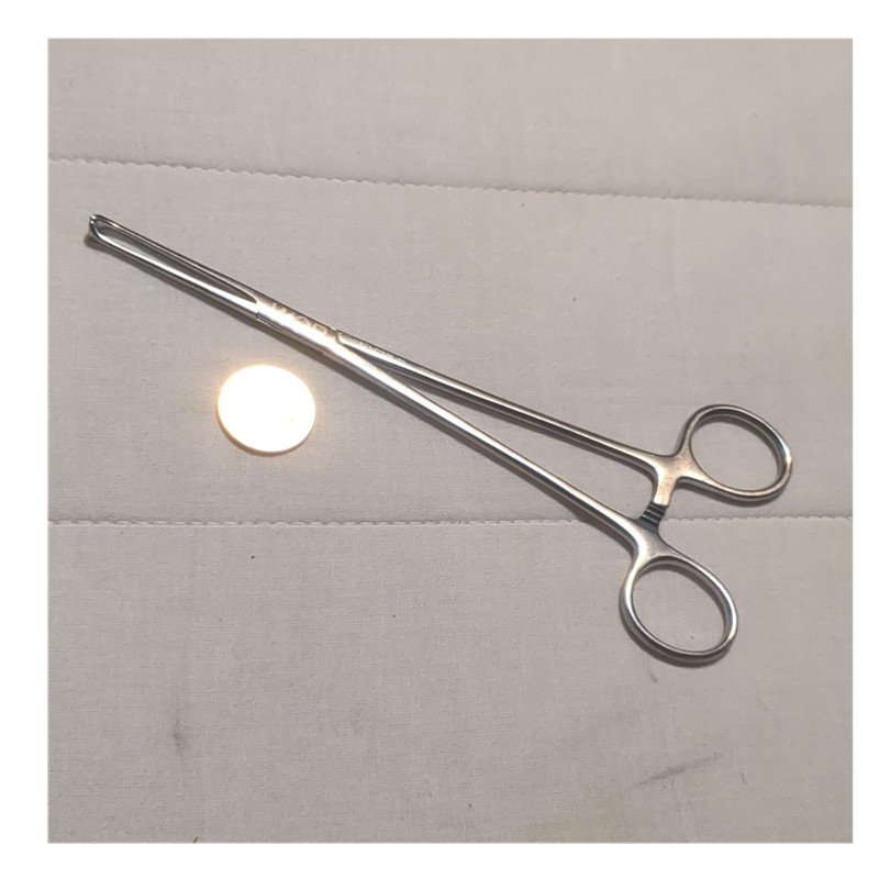 Weck 500316 Locking Forceps Stainless Steel for General Surgery