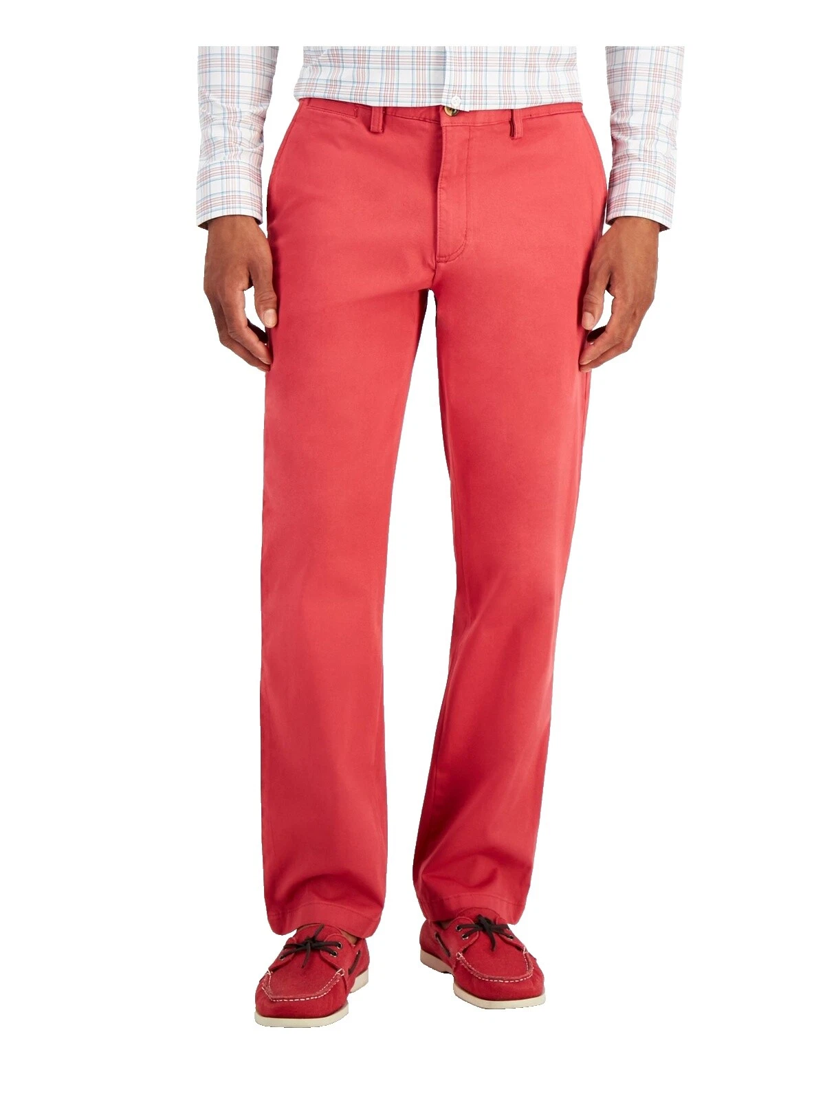 Club Room Cotton Regular Size Pants for Men