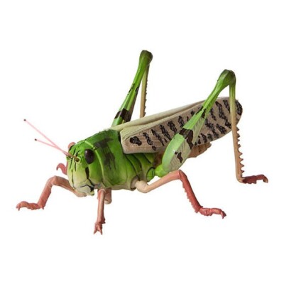 Bandai Gashapon Mini Collection Figure Insect 02 Migratory Locust Green Japan