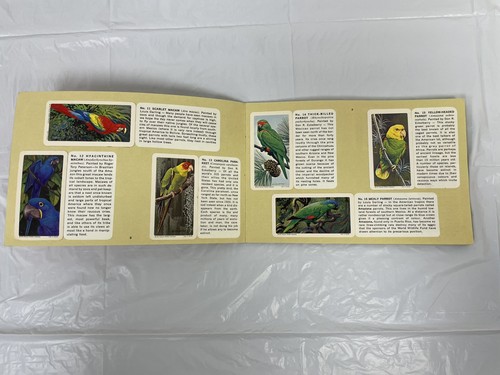 Brooke Bond Red Rose Tea Tropical Birds Album #6 Complete With 48 Cards Vtg 1963 - Picture 3 of 4