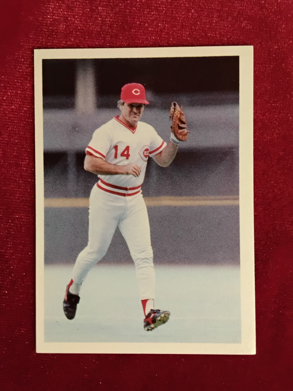 1985 Renata Galasso - Pete Rose Baseball #104 - Pete Rose 🔥 Cincinnati Reds